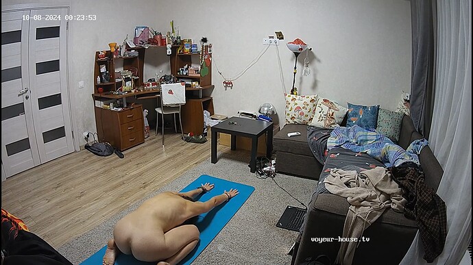 Ashampoo_Snap_lundi 7 octobre 2024_23h24m30s_009_Living room camera at Camille reallifecam apartment at Voyeur House TV (cam15) - Google Chrome