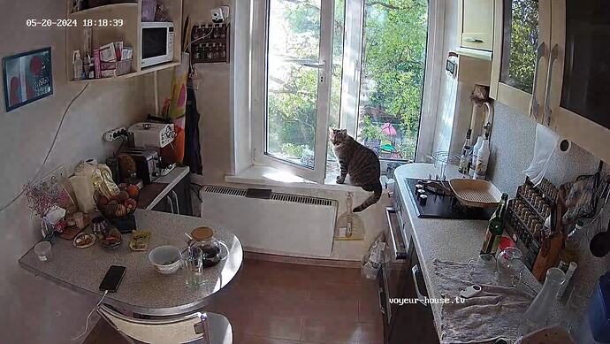 realm7-cam11-1716218349