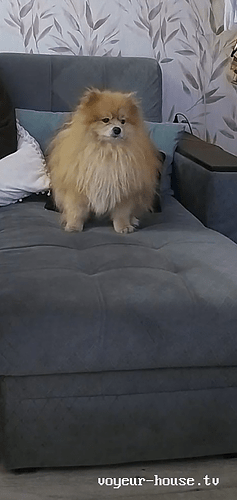 realm18-cam14-1757952429