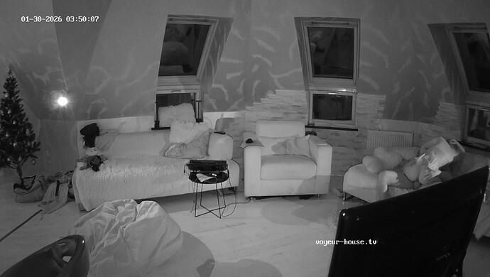 realm8-cam15-1769737845