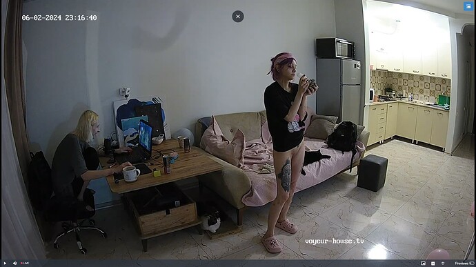 Ashampoo_Snap_dimanche 2 juin 2024_21h17m5s_029_Living room camera at Inira & Unuk reallifecam apartment at Voyeur House TV (cam13) - Google Chrome