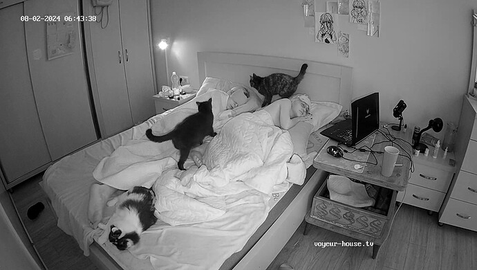 realm98-cam16-1722566642