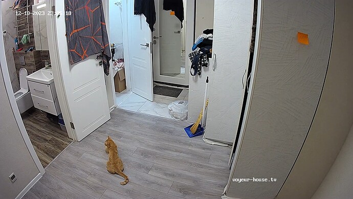 Itchi is still watching 4