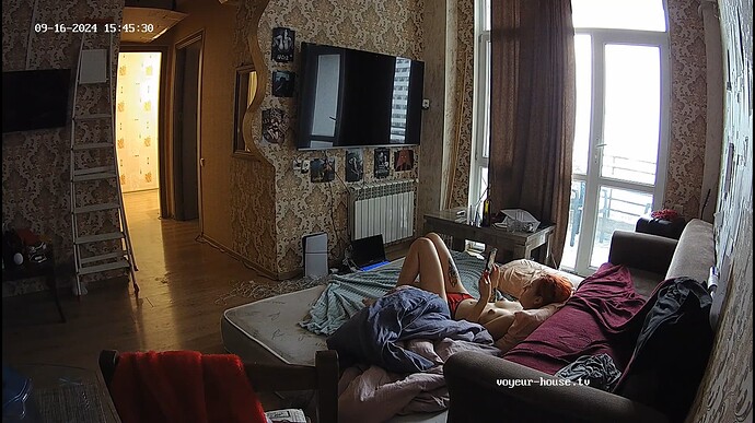 Ashampoo_Snap_lundi 16 septembre 2024_13h45m53s_001_Living room camera at Roy & Cheryl reallifecam apartment at Voyeur House TV (cam13) - Google Chrome