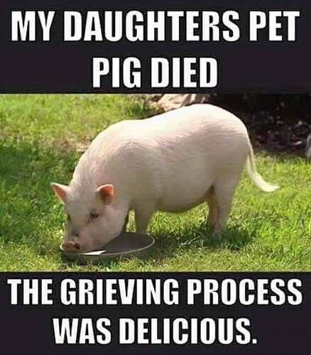 FB_IMG_1712414287562