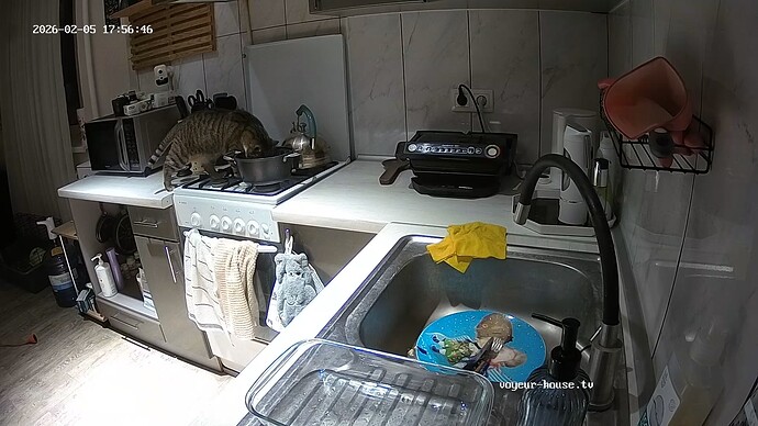 realm147-cam11-1770307061