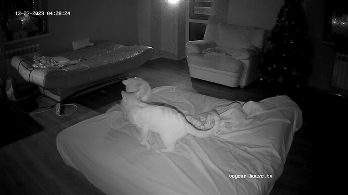 Struggles for the throne 5