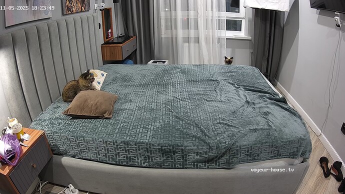 realm94-cam18-1762356269