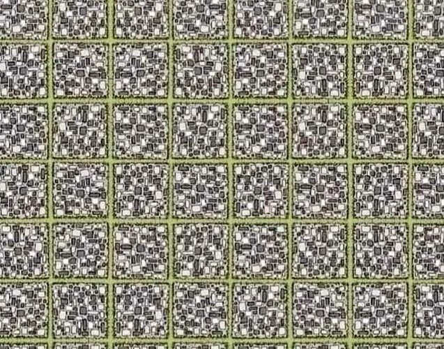 436417711_3102671056533935_7197409488209578020_n