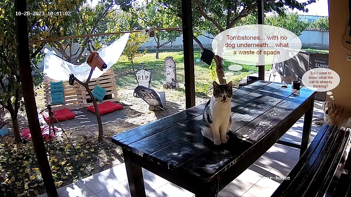 realm59-cam115-1698480826-2