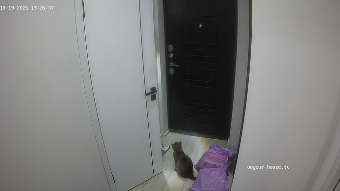 realm56-cam110-1760891591