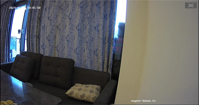 Screenshot 2024-02-17 at 05-16-30 Living room camera at Nikki reallifecam apartment at Voyeur House TV (cam13)