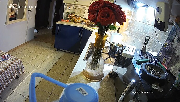 realm60-cam12-1723151687