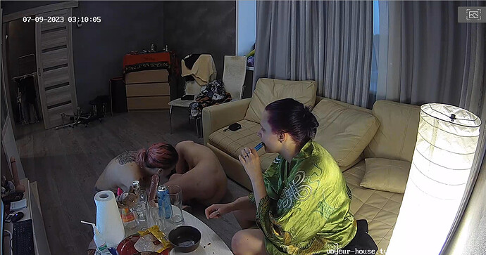 Screenshot 2023-07-08 at 20-14-38 Bathroom camera at Alida Gerda reallifecam apartment at Voyeur House TV (cam110)