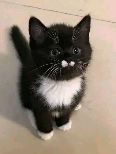 main-qimg-01474992d6e379f23f1a270ec5be9e2d