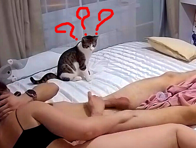 bandicam 2024-02-04 08-23-56-108