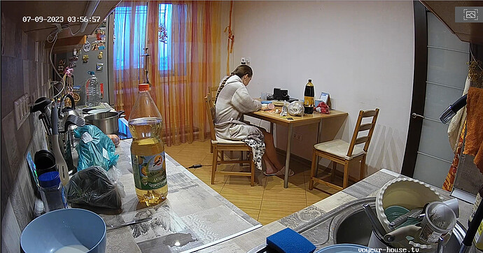 Screenshot 2023-07-08 at 20-57-35 Living room camera at Barbara reallifecam apartment at Voyeur House TV (cam14)