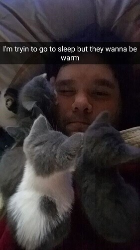 main-qimg-3fd64d858f2bb78c1407f12bcacdb0c2