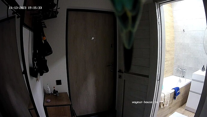 realm8-cam110-1699895767