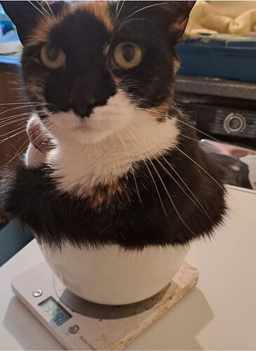 main-qimg-832c331aaf37a8b722cddff9b850f8c5