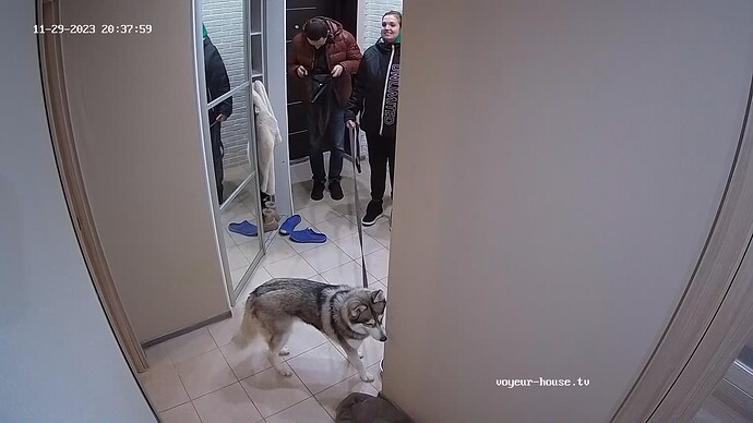 realm62-cam111-1701281105