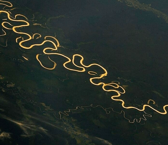 Amazon River from space
