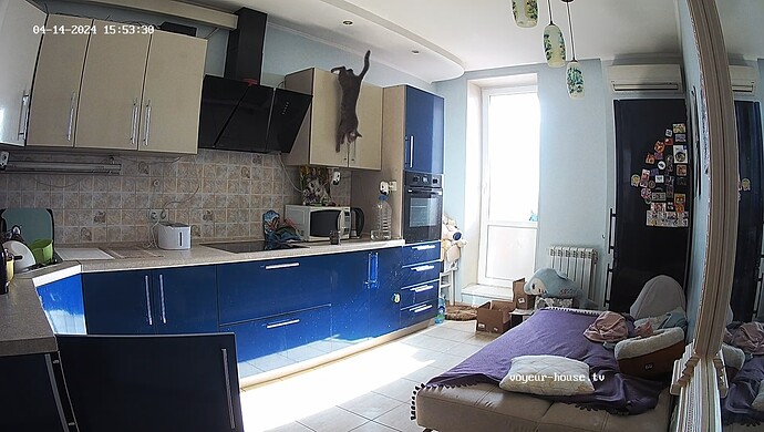 realm60-cam14-1713128923