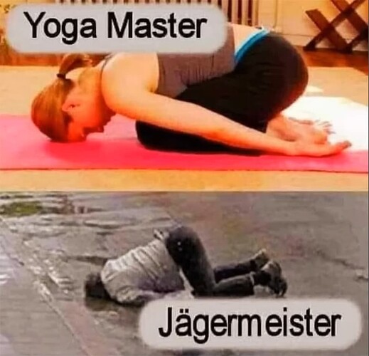 Yogameister