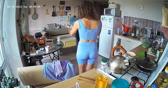 Screenshot 2023-07-25 at 12-04-13 Rachel apartment with reallifecam cameras at Voyeur House TV