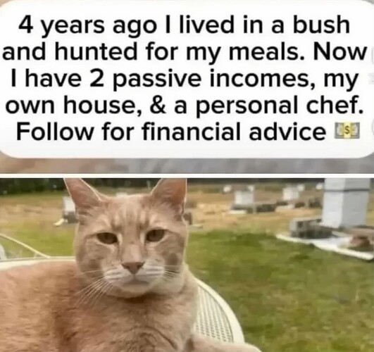 Financial Advice