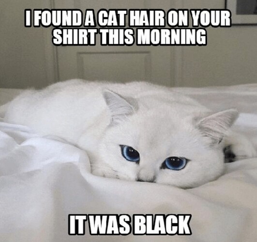 main-qimg-4bd31620ed5334bddda7407d6fef0916