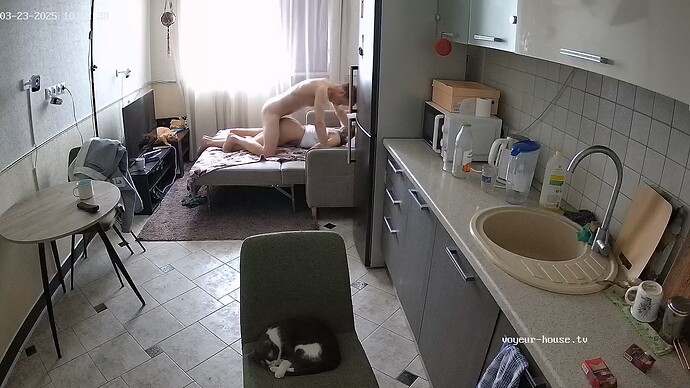 Kitchen camera at Bastet reallifecam apartment at Voyeur House TV (cam13)_4.ts_20250323_093312.565