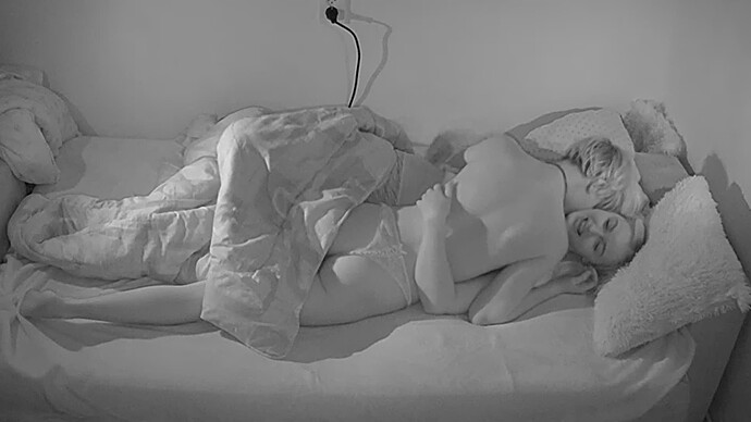 Noldus 2023-12-25 15-22-35-455