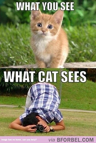 main-qimg-3754667688efeb677db2642b3340d705