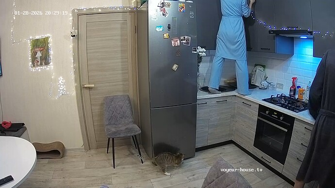 realm18-cam12-1769621402