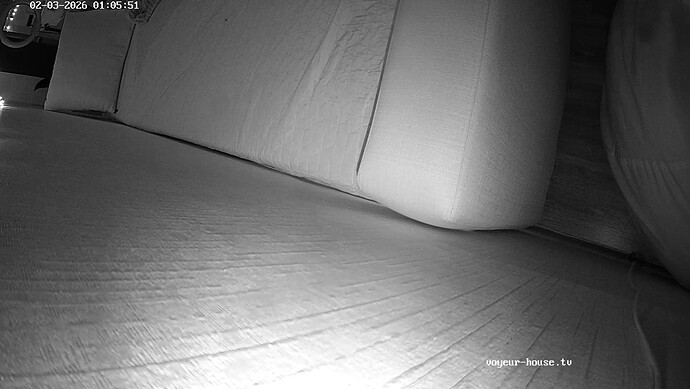 realm138-cam15-1770066393