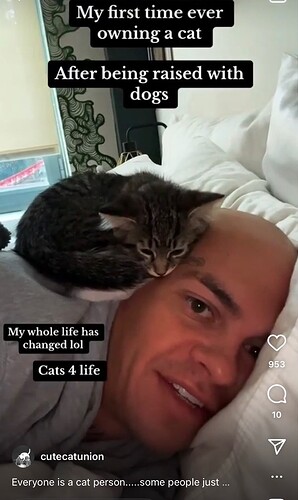 main-qimg-81528ea0d726a8fd790214bc1d0142a1