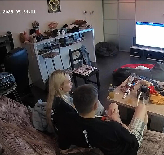 Screenshot 2023-06-30 at 22-37-58 Living room camera at Henry reallifecam apartment at Voyeur House TV (cam13)