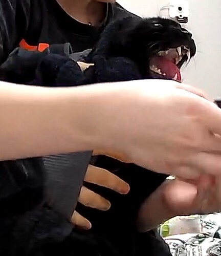 Screenshot 2025-12-10 173428