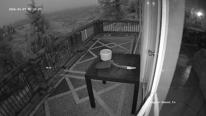 realm139-cam18-1767957241