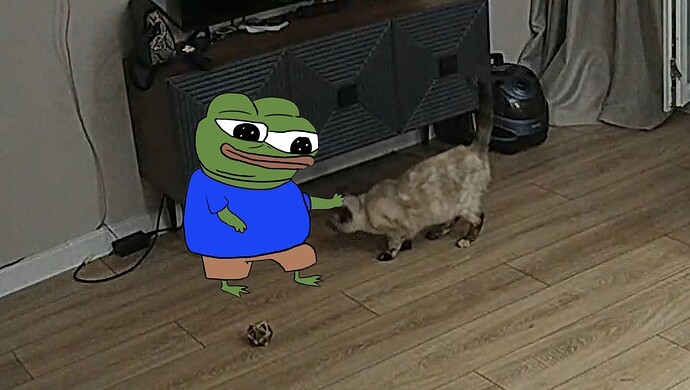 realm67-cam15-1743969766