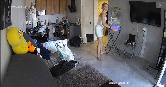 Screenshot 2023-07-05 at 14-21-38 Living room camera at Amelie & Lucas reallifecam apartment at Voyeur House TV (cam13)