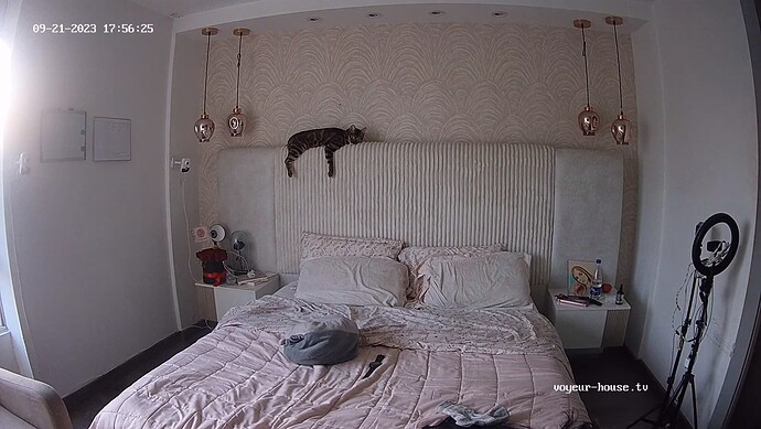 realm38-cam113-1695337018