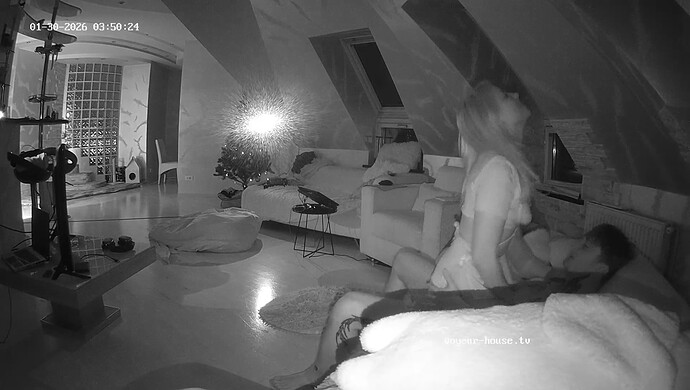 realm8-cam17-1769737860