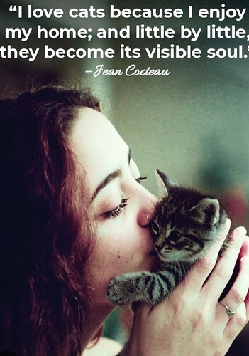 main-qimg-b85401645617ddfe1fd22602b8368bbf