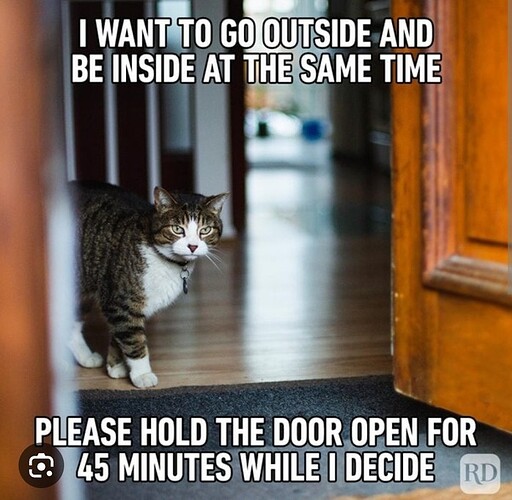 main-qimg-026cbc4c391543fa9db7da39e444e589