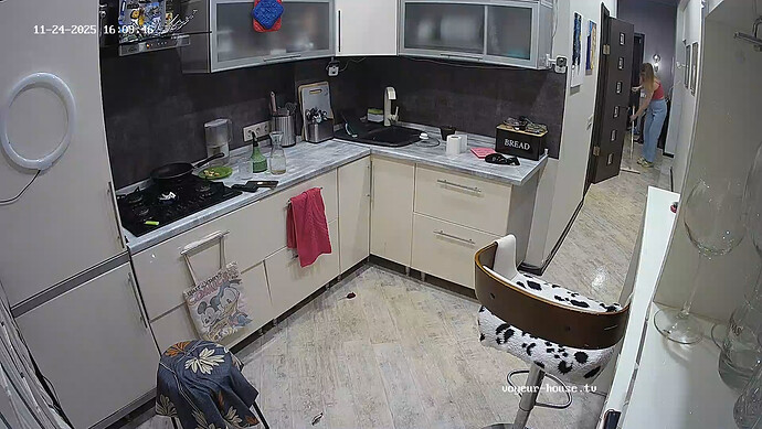 realm64-cam12-1764013119