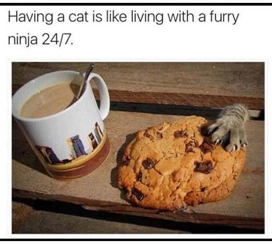 main-qimg-3fb06e3ee997e3ef28f436495033b1c6