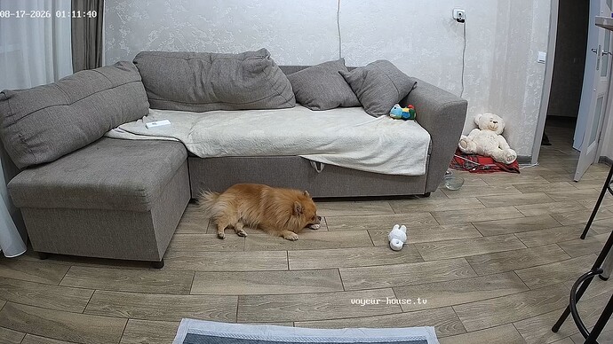 realm5-cam15-1786918336