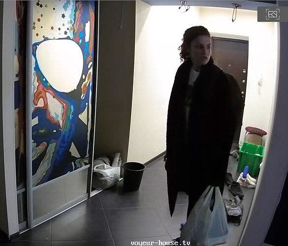 Screenshot 2023-08-19 at 01-38-30 Bedroom camera at Henry reallifecam apartment at Voyeur House TV (cam18)